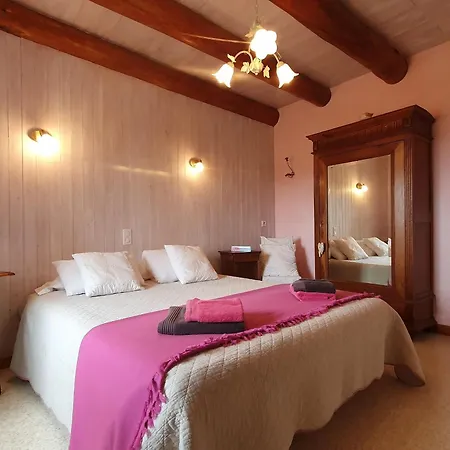 Inclus Avec Terrasse, Jardin Et Parkings, Proche Puy-en-velay Et Chemins De Randonnee. - Fr-1-582-323 Holiday home
