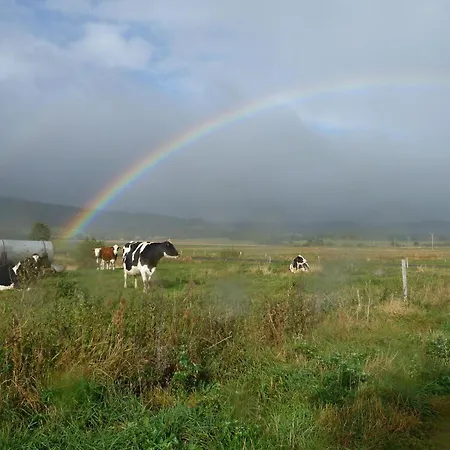 Inclus Avec Terrasse, Jardin Et Parkings, Proche Puy-en-velay Et Chemins De Randonnee. - Fr-1-582-323 * Seneujols