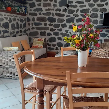 Inclus Avec Terrasse, Jardin Et Parkings, Proche Puy-en-velay Et Chemins De Randonnee. - Fr-1-582-323 Holiday home *