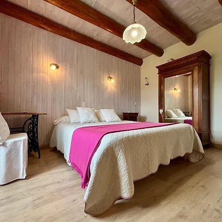 Inclus Avec Terrasse, Jardin Et Parkings, Proche Puy-en-velay Et Chemins De Randonnee. - Fr-1-582-323