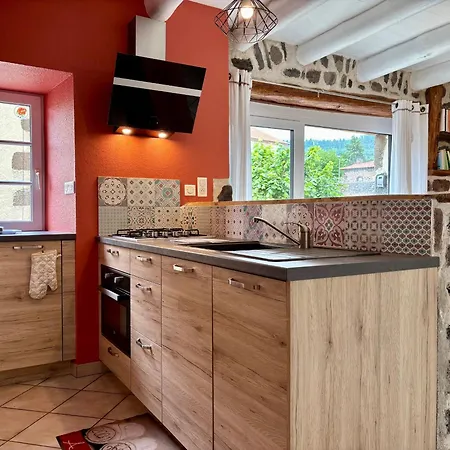 Inclus Avec Terrasse, Jardin Et Parkings, Proche Puy-en-velay Et Chemins De Randonnee. - Fr-1-582-323 Prázdninový dům Seneujols