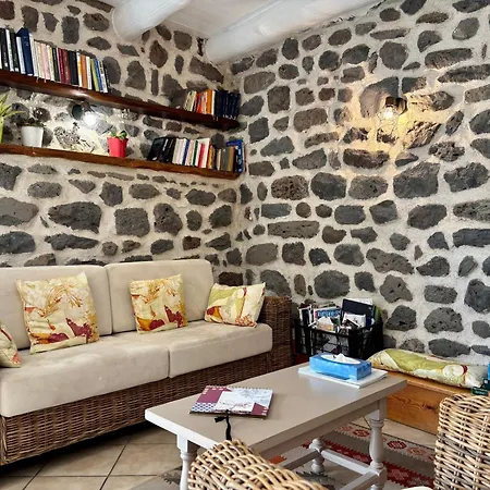 بيت للعطل Inclus Avec Terrasse, Jardin Et Parkings, Proche Puy-en-velay Et Chemins De Randonnee. - Fr-1-582-323 *