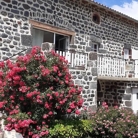 Inclus Avec Terrasse, Jardin Et Parkings, Proche Puy-en-velay Et Chemins De Randonnee. - Fr-1-582-323 * Seneujols