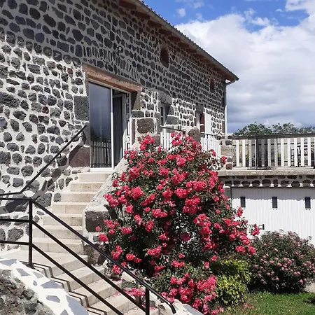 بيت للعطل Inclus Avec Terrasse, Jardin Et Parkings, Proche Puy-en-velay Et Chemins De Randonnee. - Fr-1-582-323